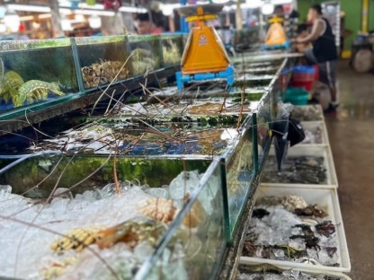 ตลาด sea food ป่าตอง